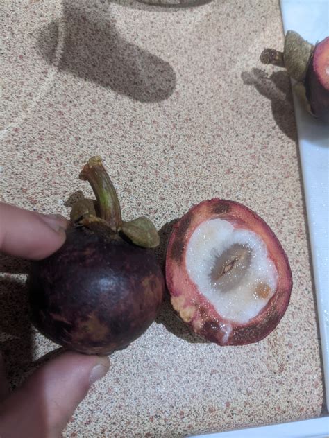 I found this weird fruit and was wondering what it is : r/fruit