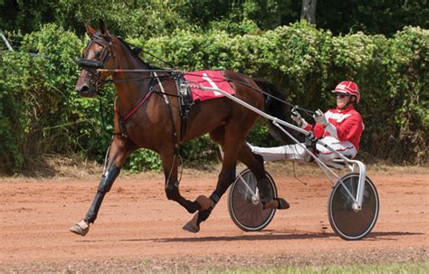 Harness Racing Coloring Pages