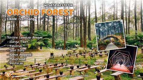 Wisata Orchid Forest Cikole Lembang Bandung Destinasiid Youtube