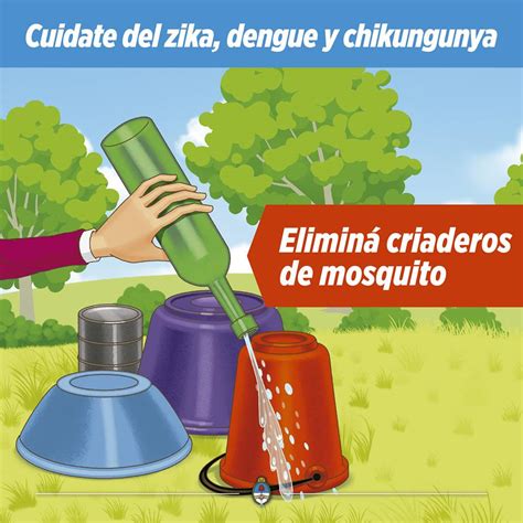 C Mo Prevenir El Zika Dengue Y Chikungunya