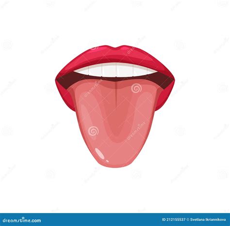 Human Anatomy Organs Of Tongue Of Taste Open Mouth Sticking Out Tongue