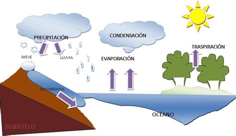 Esquema Del Ciclo Del Agua ¡fotos And Guía 2024