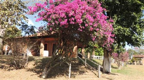 Hotel Pousada Fazenda EstÂncia Recanto Das Flores Telefone Uberlândia Férias