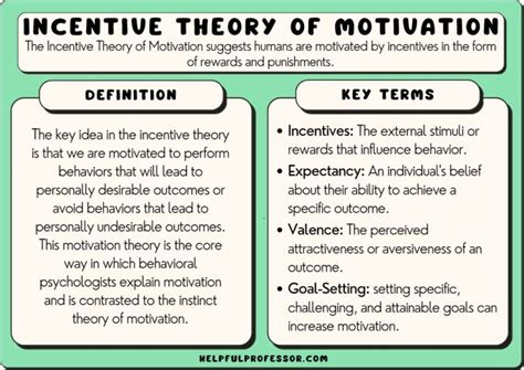 Incentive Theory of Motivation: Examples & Easy Definition (2024)