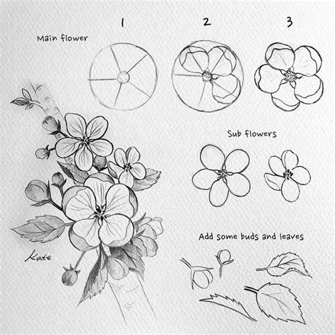 Flower Drawing: Draw an easy flower step by step | Çizimler, Çizim ...