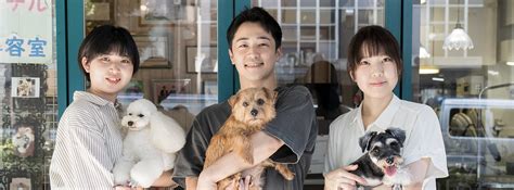 pet salon Grace | pet salon Grace | 世田谷のトリミング＆ペットホテル