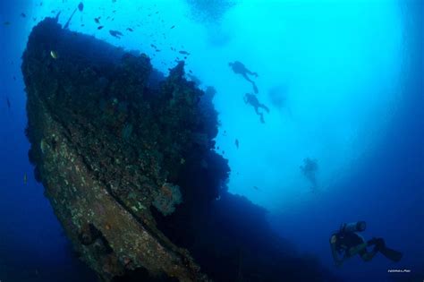 US Liberty Shipwreck Tulamben Best Dive Sites With Bali Scuba