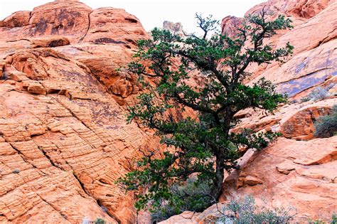 Free Picture Sandstone Nature Landscape Geology Sky Canyon