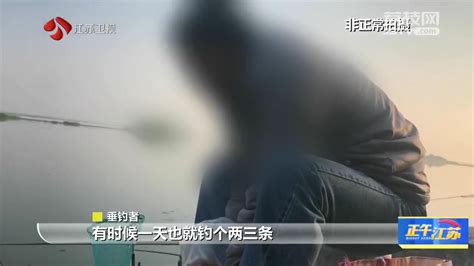 锐观察｜太湖苏州湾：违法电捕鱼为何难以禁绝？我苏网