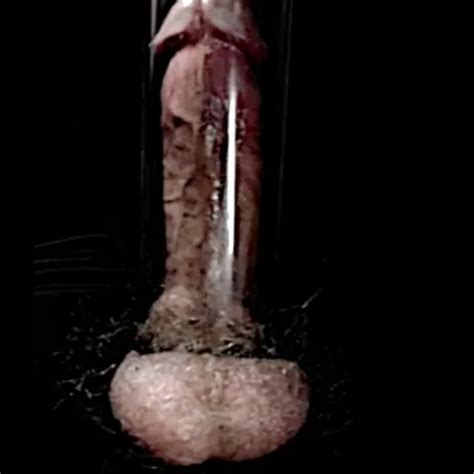 Top Gay Amateur Porn Video Creators Of Homemade Sex 5 XHamster