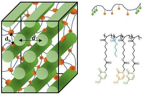 Molecules Free Full Text Quadruple Hydrogen Bond Containing A Ab A Triblock Copolymers