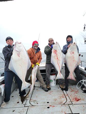 D G Fishing Charters Homer Tripadvisor