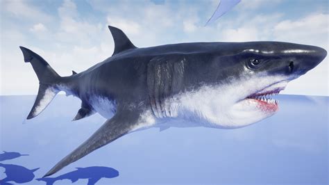 ArtStation - MEGALODON - Sea Monster Series 5 | Game Assets