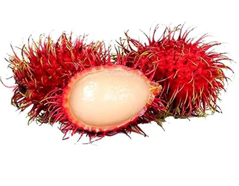 Lychee – Rambutan 250gm - Finebuy