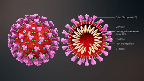 I C Ng V Corona Virus B Nh Vi N B C Ng An