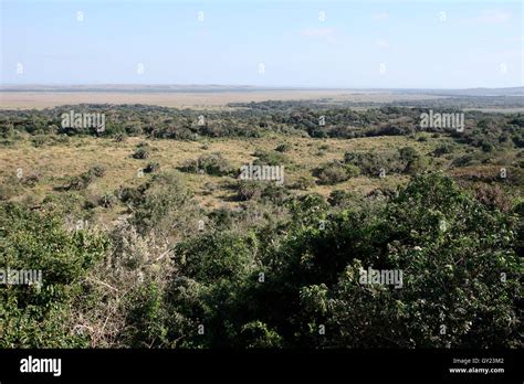 St lucia wetland park hi-res stock photography and images - Alamy