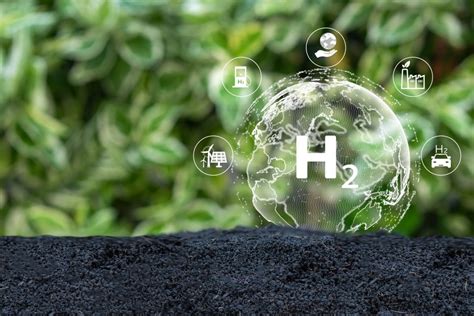 Industrial Policy For The Green Hydrogen Economy WUN