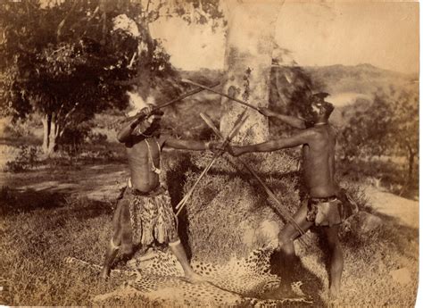 Intriguing C 1880s Photograph Zulu Men Stick Fighting Ian Knights