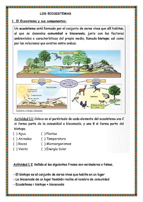 Ejercicio De Guia De Ciencias Naturales Ecosistema Artofit