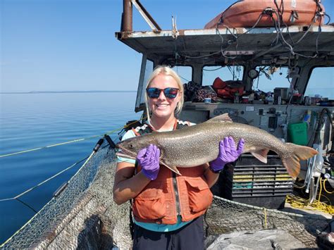 Intern Update Where Are All The Fish Using Acoustic Telemetry To