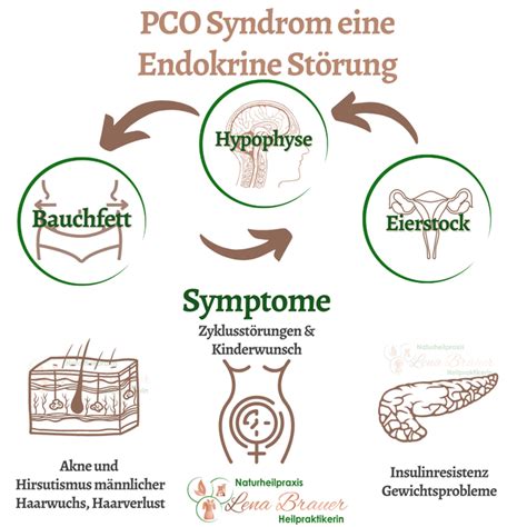 PCO Syndrom München Naturheilkunde Therapie Heilpraktikerin Lena