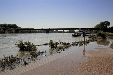 Rhein Hochwasser In Speyer Im Jahre 2013 Redaktionelles Stockfoto