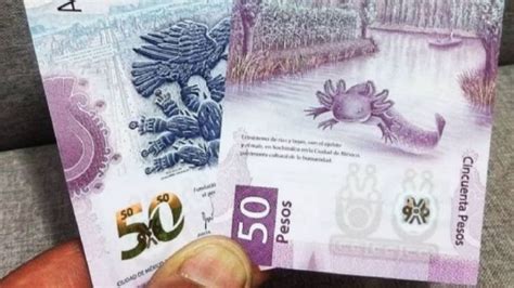 Venden hasta en 3 millones de pesos billete de 50 del ajolote qué