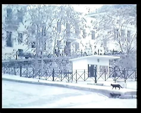 Greek Porn Seminario To Vathi Larigi O Xrisos Falos Xhamster