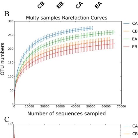 Predominant Microbes In The Supragingival Plaques At The Phylum Level