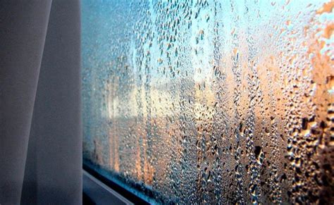 Конденсат на вікнах. Як позбутися? - Віконна Майстерня Київ