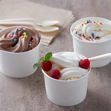 Popular Types Of Frozen Desserts Webstaurantstore