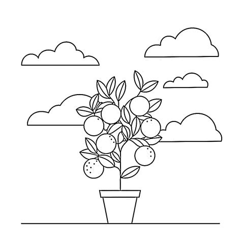 Drawing Of Citrus Plant Coloring Page Download Print Or Color Online
