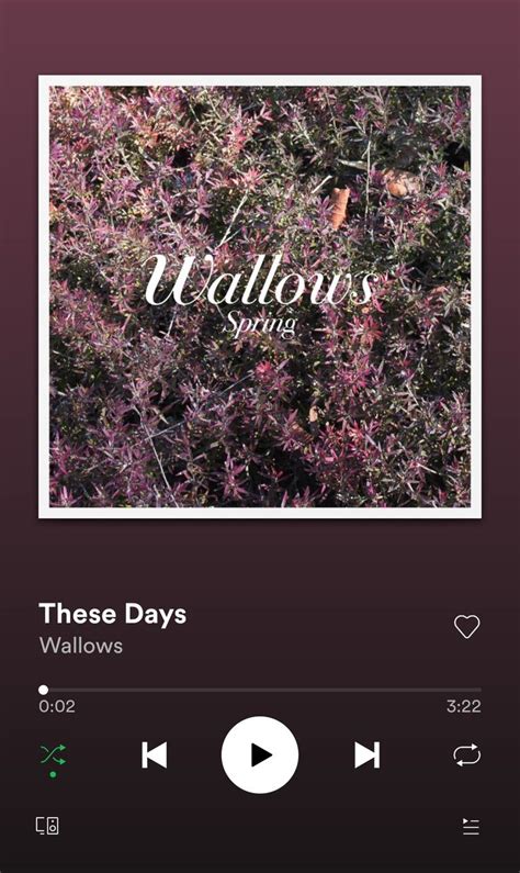 These days by Wallows | Spring music, Spring pictures, American spirit