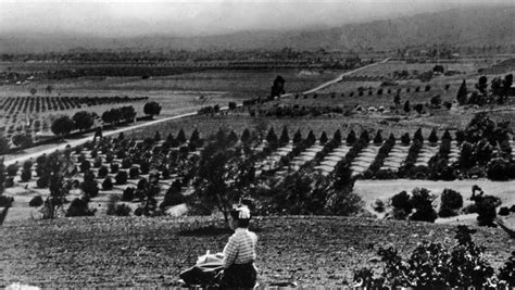 1905 View Of Hollywood Looking Westsouthwest From Laughlin Park