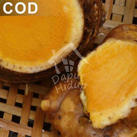 Jual Temulawak Koneng Gede Segar Kg Shopee Indonesia