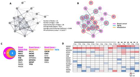 IJMS Free Full Text GPR19 Coordinates Multiple Molecular Aspects Of