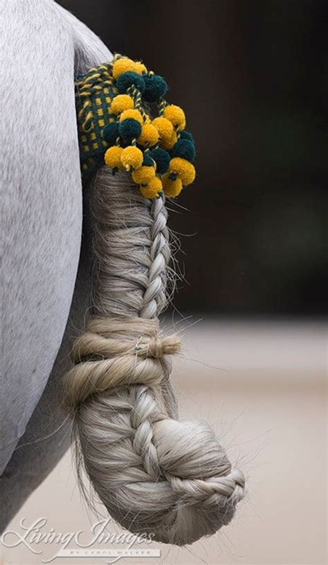 30 Amazing Horse Tail Braids Ideas to make Your Friends Jealous - Tail ...