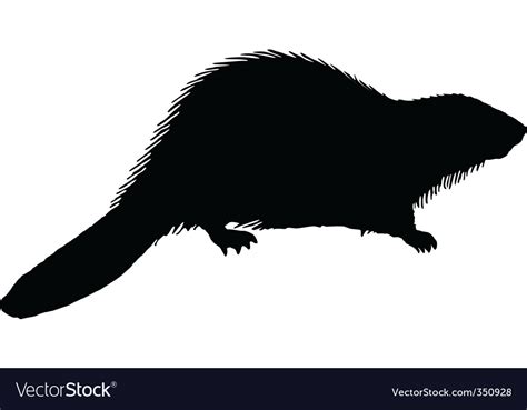 Black beaver Royalty Free Vector Image - VectorStock