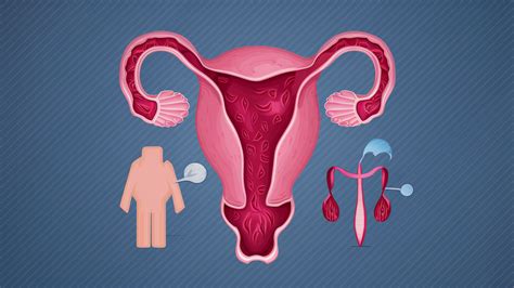 “endometrial Cancer Symptoms Causes And Treatment Comprehensive Guide”