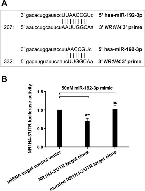 MicroRNA 192 Suppresses The Expression Of The Farnesoid X Receptor