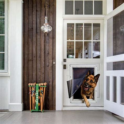 Best Dog Door For Great Dane 2021 Reviews Buyers Guide Exqeo