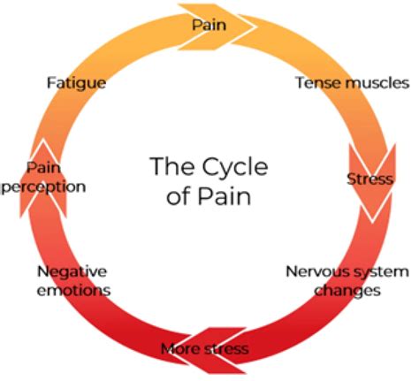 Cycle Of Pain And Mental Health Connection