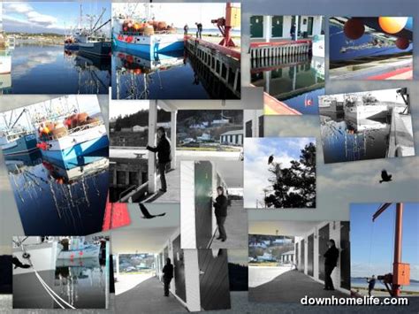 A Collage Of A Sunny Sunday In Dildo Trinity Bay Downhome Magazine