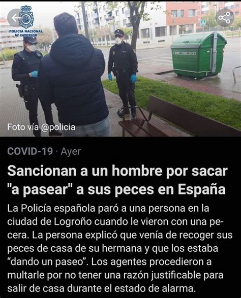 Los Peces Tambi N Tienen Derecho De Salir A La Calle Meme Subido Por