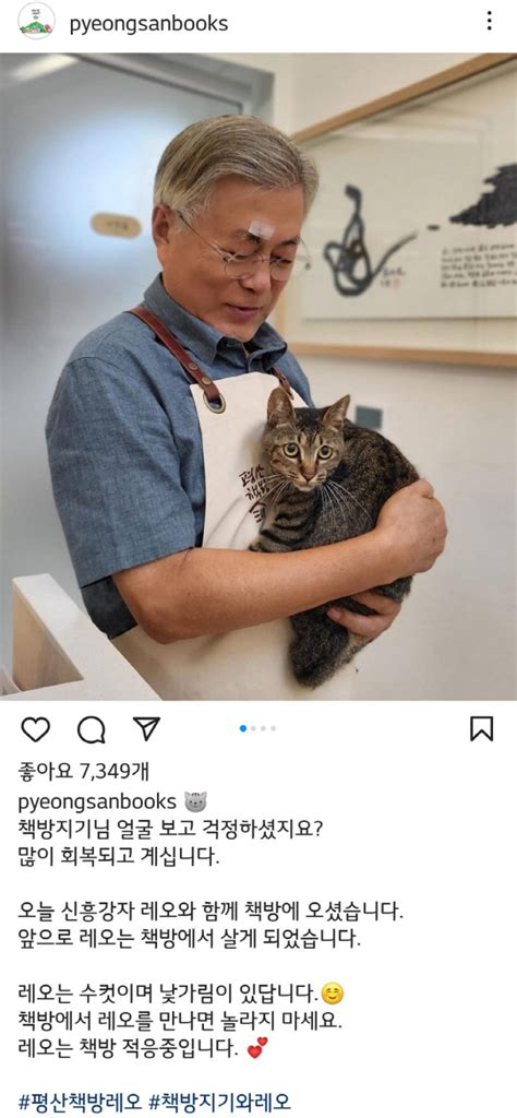 `풍산개 파양` 文 이번엔 고양이 논란낯가림 심한 동물 책방서 키워 디지털타임스