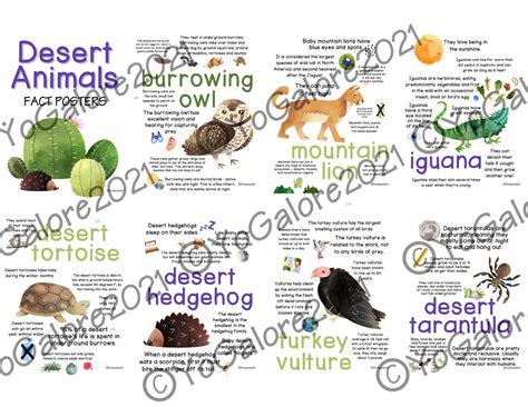 Desert Animal Facts: Posters for the Classroom or Playroom - Etsy