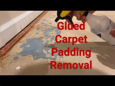 Quick How To Remove Glued Carpet Padding Underlayment From Concrete