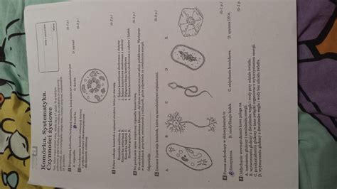 Budowa I Czynności Życiowe Organizmów Sprawdzian Kl 5