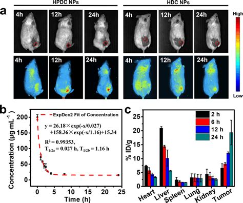 A Fluorescence Images Of T Tumor Bearing In The Rear Back Balb C