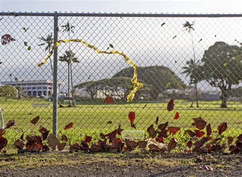 Powerful Winds Down Tree Cause Power Outage Hawaii Tribune Herald